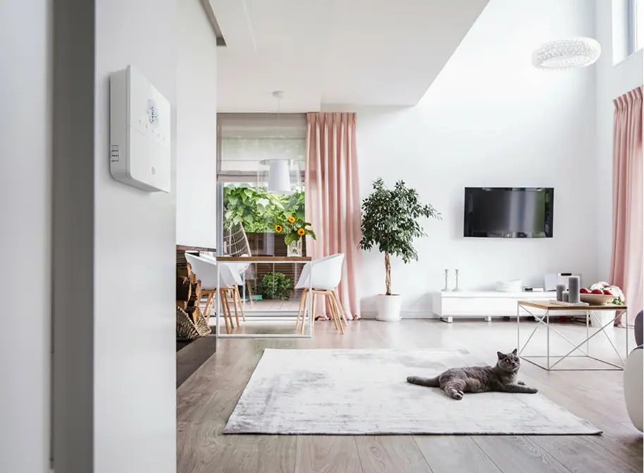 Moderná svetlá obývacia izba s bielym inteligentným termostatom na stene a sivou mačkou na koberci